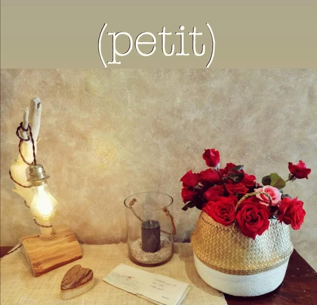 Hotel Petit Silvi Marina Ngoại thất bức ảnh