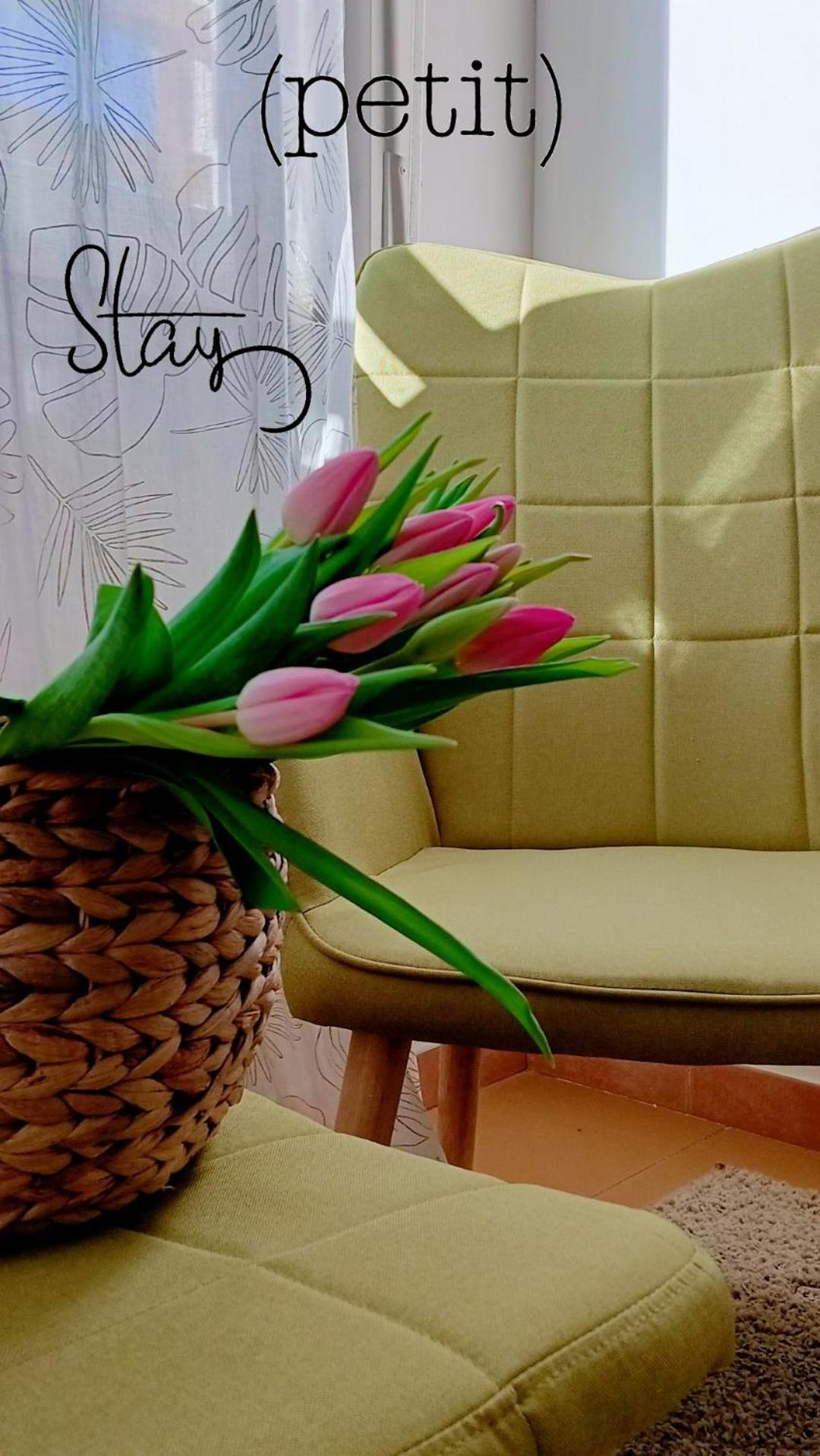 Hotel Petit Silvi Marina Ngoại thất bức ảnh