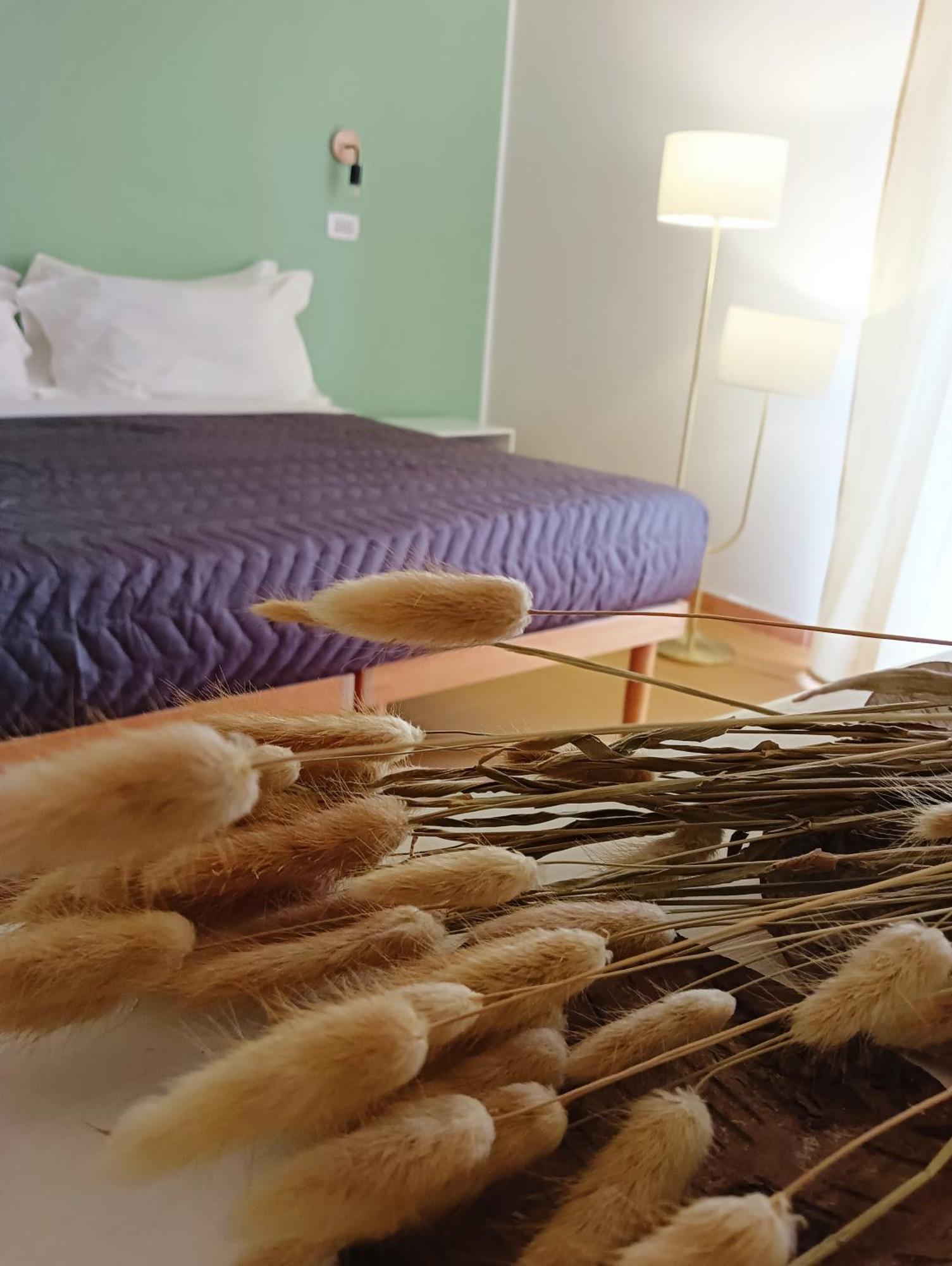 Hotel Petit Silvi Marina Ngoại thất bức ảnh