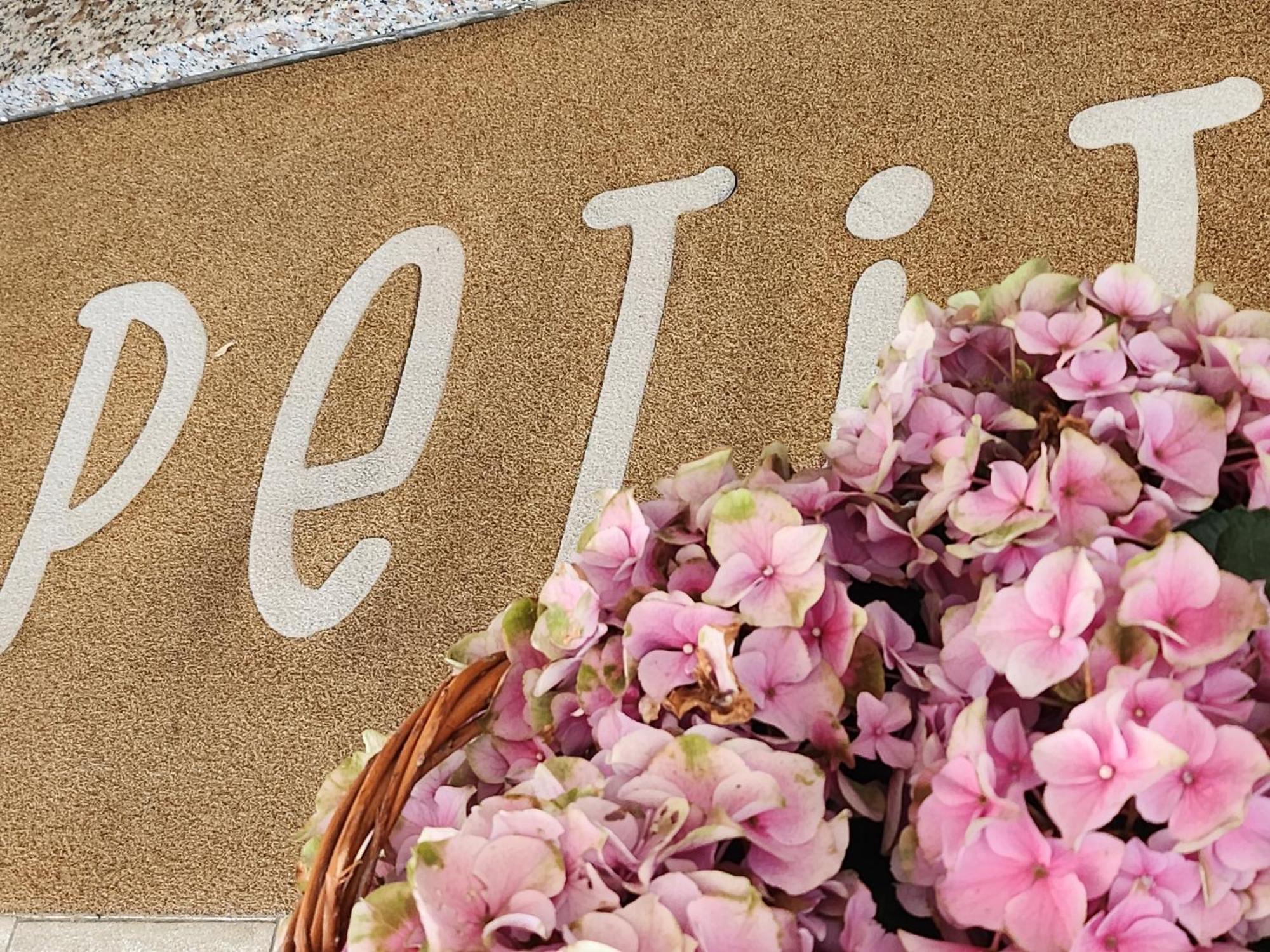 Hotel Petit Silvi Marina Ngoại thất bức ảnh